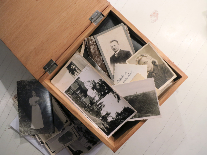 Timsoh genlaridan jinsiy aloqa